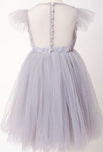 Load image into Gallery viewer, The Sheer Back Dress
