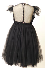 Load image into Gallery viewer, The Sheer Back Dress
